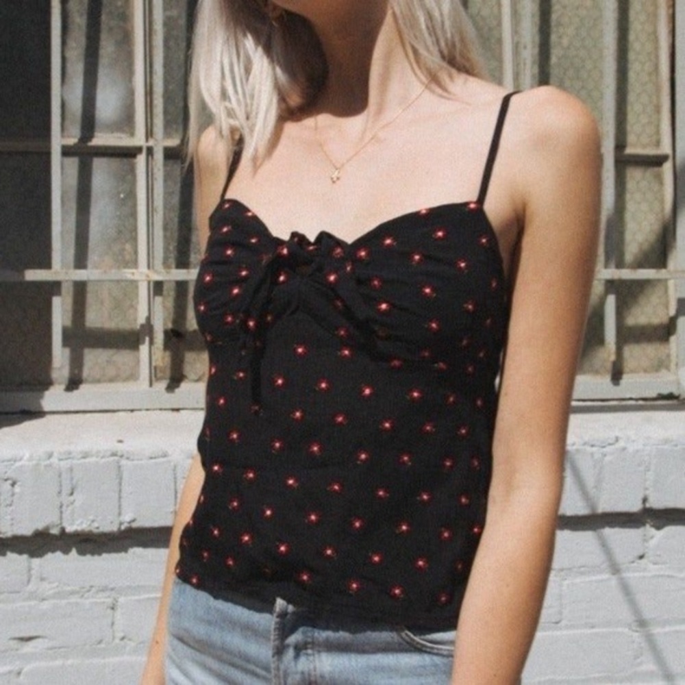 Brandy Melville embroidered crop